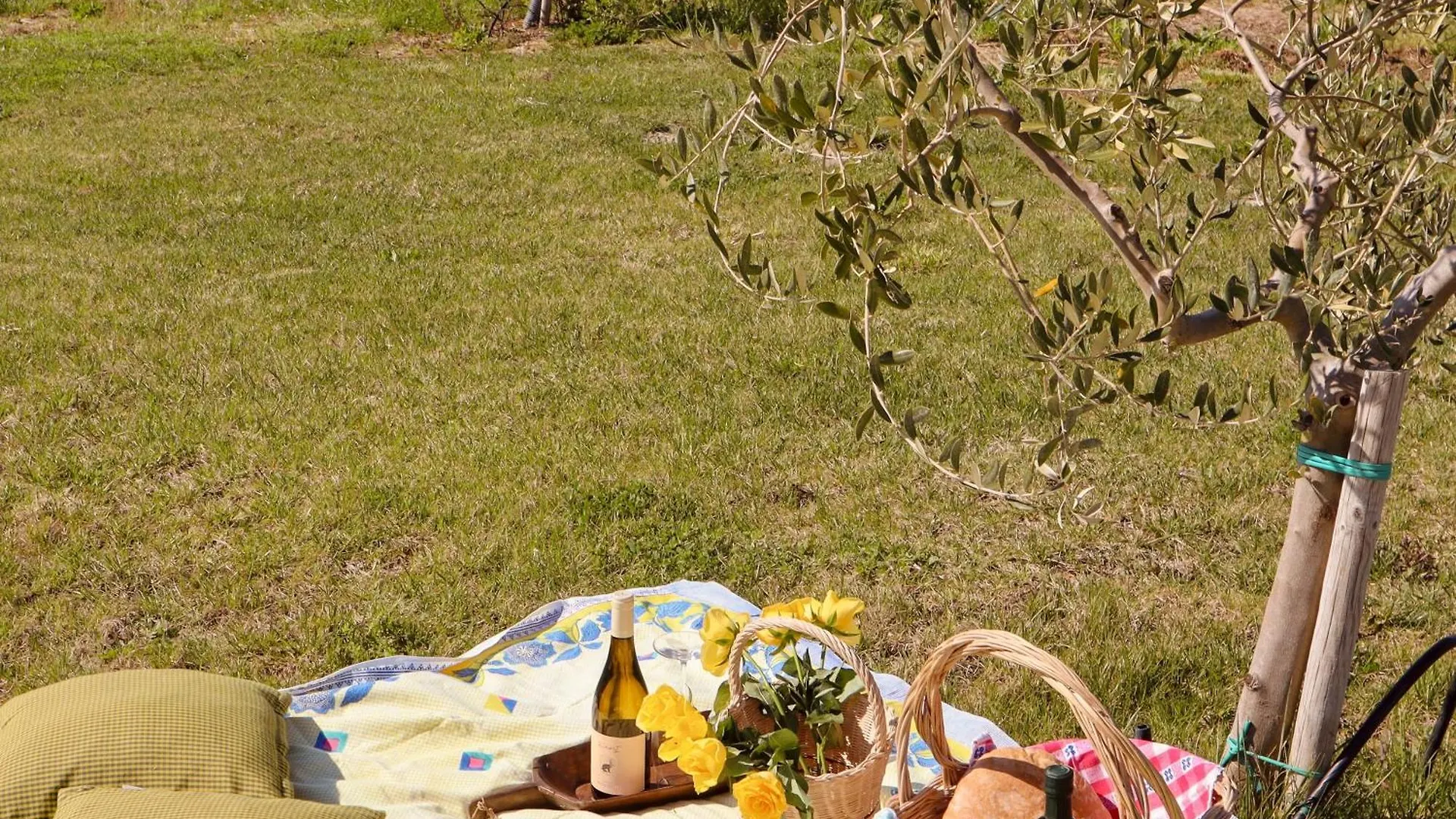 Casale Oliveta Villa Orbetello Feriegård